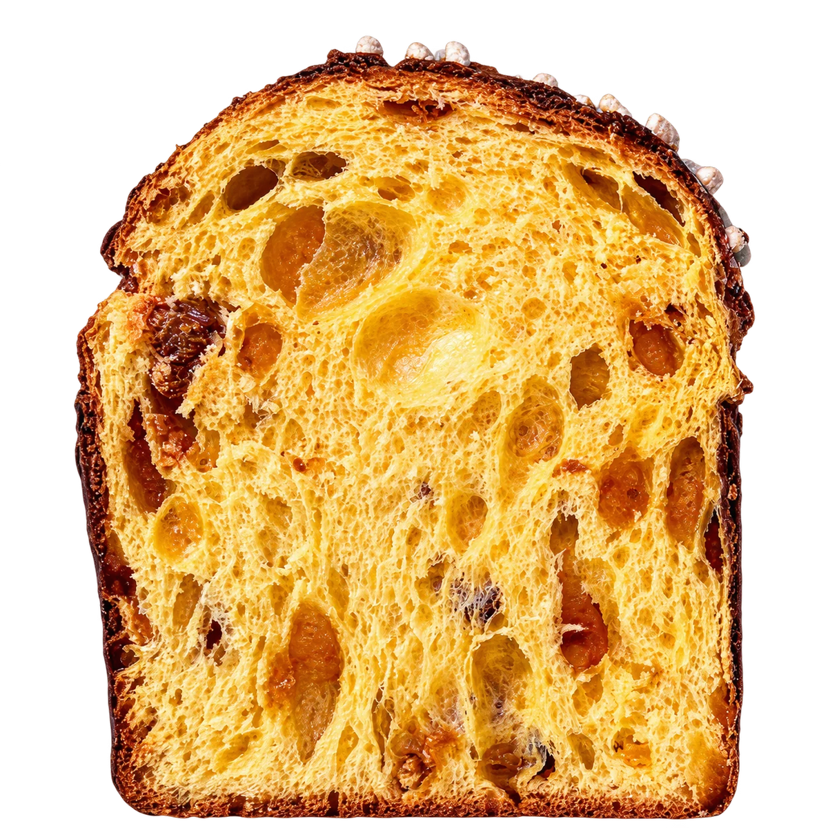 Panettone Albaricoque, Miel de Romero y Chocolate Rubio artesano — corte interior