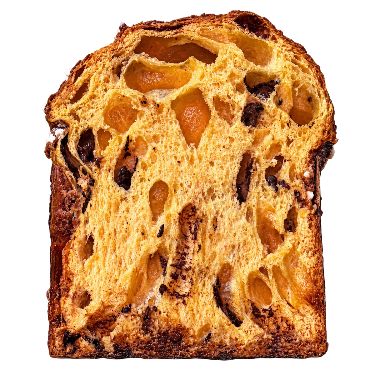Pijotero